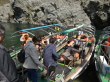 遊覧船は、20人ほど乗れましてん。船頭はんの解説ありの30分間、川を下り上りどしたぁ!河から見る断崖は、素晴らしいもんやそうな?