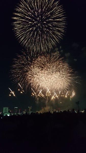 画面に入りきらんので、縦に撮りましてんや!