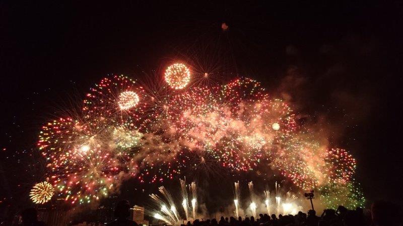 見上げてる夜空に、パンと広がった花火でおます。