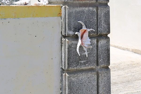これ水という漢字に見える形ですなぁ。火の用心でんな。そんな魔除けでぇ!
