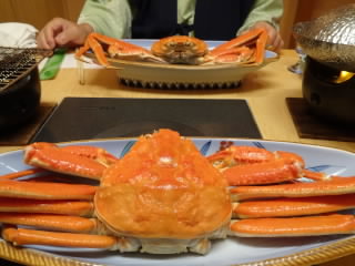 茹でたカニやん。ほんまぁ紅の色やそうな!
