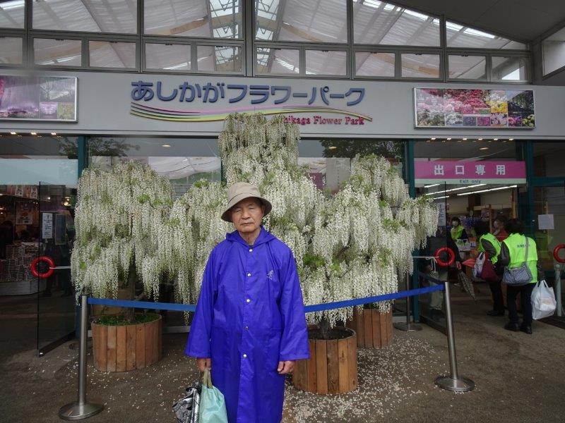 びっくりやぁ、雨模様やいうのに観光客ぎょうさんや!しかも、外国からの旅行客いっぱいやわぁ!