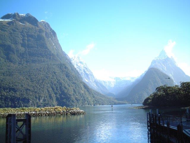 �����̒f�R�E��ǁE�[���́E�r�݂����ȓ��]�B�t�C�����h�ł��܂��Ȃ��I