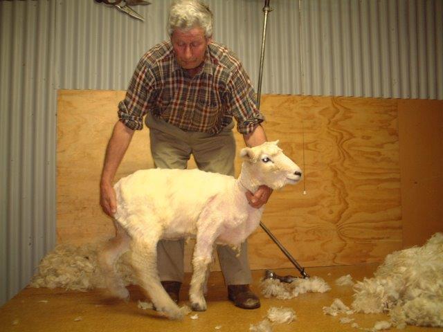 �܂��܂��@���Ƃ̎���ł��܂����Ȃ��I����́A�������ό��p�ł��܂��B�Ȃ񂹓~�̏I���̎����ł��Ă��I