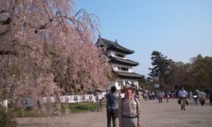 見張り台としての櫓ですなぁ。桜も残ってくれてましたぁ!