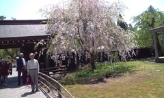 かくのだてにも武家屋敷の保存地区があってんやな!城おまへんがな?