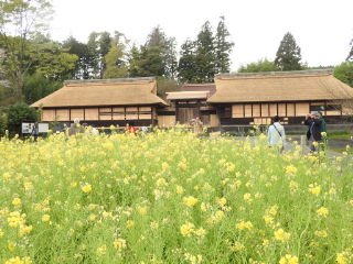 頼朝が、狩宿にした屋敷のでかい高麗門。800年前からあるんかいな?