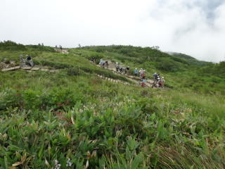 どっちを見ても同じような、山の尾根ばっかしやん。虫はいるけんど、鳥の鳴き声おまへん。静かな草原みたいどすわぁ!