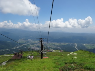 地面に近いんで安心して乗れましたぁ。そうかぁ 高山植物の花を見ながらの空中遊泳かいな!