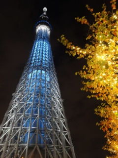 東京スカイつりーです。灯りがあるんでよう分かりまんな!